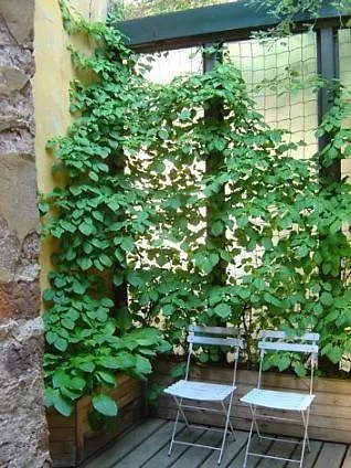 Luxury In דירה ריגה